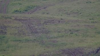 Красія 15 червня 2019 року, 2019-06-15 10:00