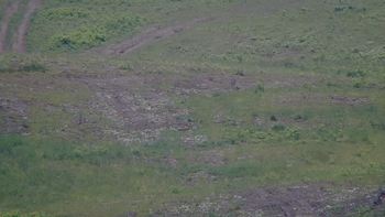 Красія 15 червня 2019 року, 2019-06-15 13:00