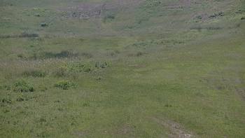 Красія 16 червня 2019 року, 2019-06-16 13:00