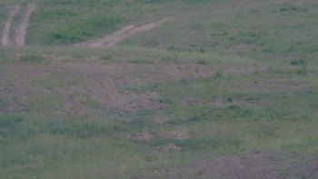 Красія 16 червня 2019 року, 2019-06-16 16:00