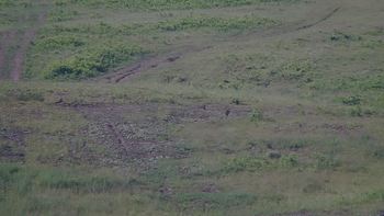 Красія 20 червня 2019 року, 2019-06-20 10:00