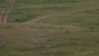 Красія 21 червня 2019 року, 2019-06-21 13:00