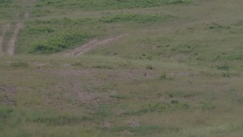 Красія 22 червня 2019 року, 2019-06-22 10:00