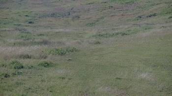 Красія 23 червня 2019 року, 2019-06-23 10:00