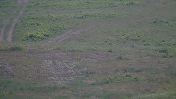 Красія 23 червня 2019 року, 2019-06-23 13:00
