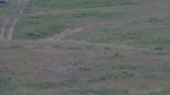 Красія 23 червня 2019 року, 2019-06-23 16:00