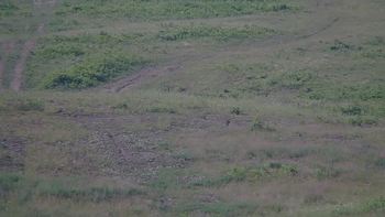 Красія 24 червня 2019 року, 2019-06-24 10:00