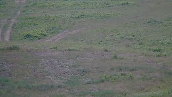 Красія 24 червня 2019 року, 2019-06-24 13:00