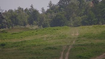 Красія 24 червня 2019 року, 2019-06-24 16:00