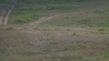 Красія 25 червня 2019 року, 2019-06-25 16:00