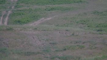 Красія 26 червня 2019 року, 2019-06-26 16:00