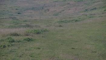 Красія 27 червня 2019 року, 2019-06-27 10:00
