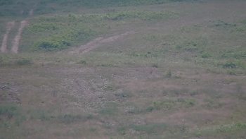 Красія 27 червня 2019 року, 2019-06-27 13:00