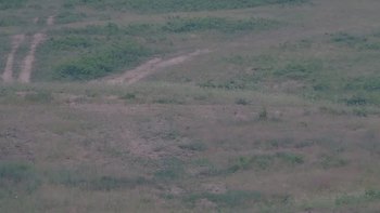 Красія 27 червня 2019 року, 2019-06-27 16:00