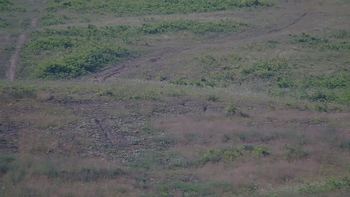 Красія 1 липня 2019 року, 2019-07-01 10:00
