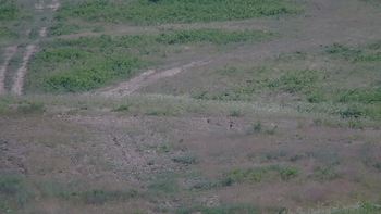 Красія 1 липня 2019 року, 2019-07-01 16:00