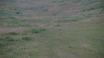 Красія 2 липня 2019 року, 2019-07-02 10:00