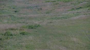 Красія 4 липня 2019 року, 2019-07-04 16:00