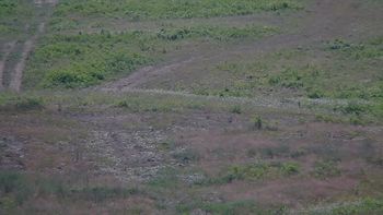 Красія 5 липня 2019 року, 2019-07-05 13:00