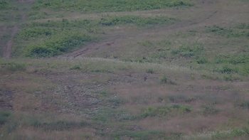 Красія 6 липня 2019 року, 2019-07-06 10:00