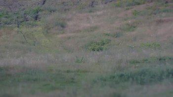 Красія 8 липня 2019 року, 2019-07-08 10:00