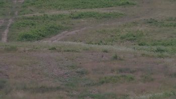 Красія 8 липня 2019 року, 2019-07-08 13:00
