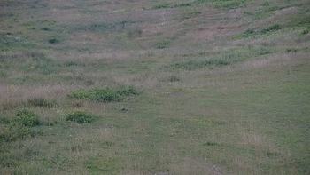 Красія 11 липня 2019 року, 2019-07-11 10:00