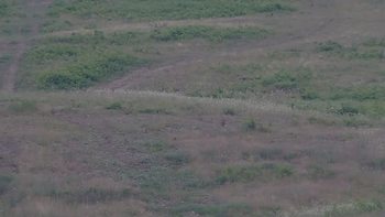 Красія 11 липня 2019 року, 2019-07-11 13:00