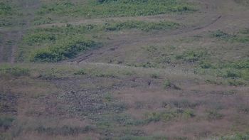 Красія 12 липня 2019 року, 2019-07-12 10:00