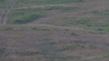 Красія 13 липня 2019 року, 2019-07-13 10:00