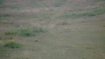 Красія 14 липня 2019 року, 2019-07-14 10:00