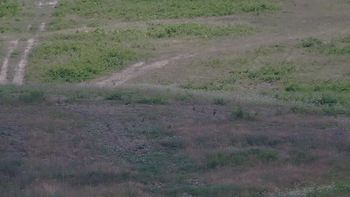 Красія 15 липня 2019 року, 2019-07-15 16:00