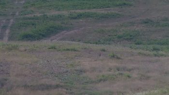 Красія 17 липня 2019 року, 2019-07-17 10:00