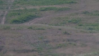 Красія 18 липня 2019 року, 2019-07-18 10:00