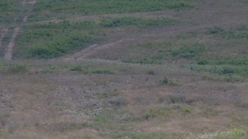 Красія 18 липня 2019 року, 2019-07-18 13:00