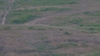 Красія 20 липня 2019 року, 2019-07-20 10:00