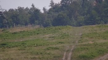 Красія 21 липня 2019 року, 2019-07-21 16:00