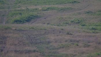 Красія 25 липня 2019 року, 2019-07-25 10:00