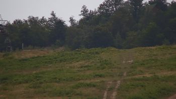 Красія 26 липня 2019 року, 2019-07-26 13:00