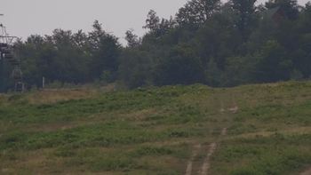 Красія 26 липня 2019 року, 2019-07-26 16:00