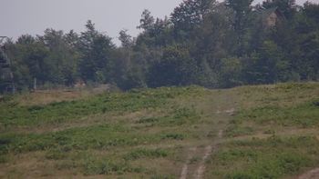 Красія 29 липня 2019 року, 2019-07-29 16:00