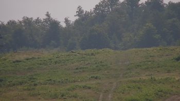 Красія 30 липня 2019 року, 2019-07-30 13:00