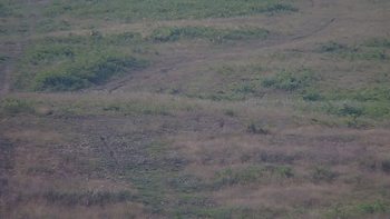 Красія 31 липня 2019 року, 2019-07-31 10:00