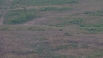 Красія 1 серпня 2019 року, 2019-08-01 10:00