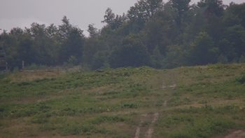 Красія 1 серпня 2019 року, 2019-08-01 13:00