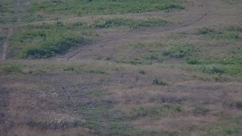Красія 3 серпня 2019 року, 2019-08-03 10:00
