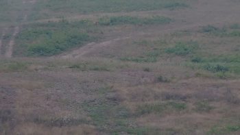 Красія 5 серпня 2019 року, 2019-08-05 10:00