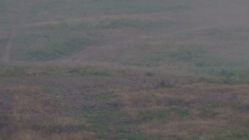 Красія 6 серпня 2019 року, 2019-08-06 10:00