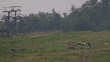 Красія 6 серпня 2019 року, 2019-08-06 13:00