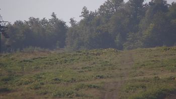 Красія 12 серпня 2019 року, 2019-08-12 10:00
